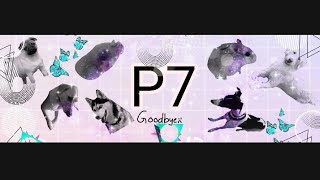 PSSB ‘Goodbye P7!’ M/V (Parody of ‘Likey’)