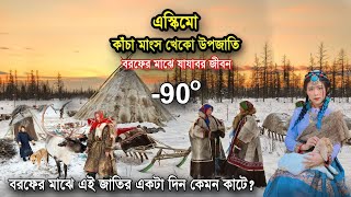 বরফের মাঝে এস্কিমো জাতির একটা দিন কেমন কাটে | life in Eskimo nomads | nomadic life