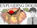 The Anti-Tank Dogs of Russia (Dog Mines/Exploding Dogs)