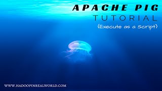 Apache Pig Tutorial - Execute as a Script