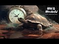 Wild & Wonderful Cutest Animals on Earth: The Timeless World of Turtles!