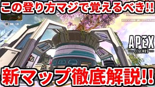 この登り方知らない人多すぎ！ランクで使える新マップ解説！最後まで見ないと損します！【APEX LEGENDS立ち回り解説】