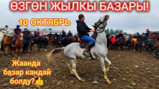 Өзгөн жылкы базары! 2 бөлүм Аттар| Рабочий ат| Кунан| Калта тай баалары 🥳