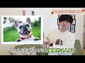 【初めてのお迎え】飼う前必見！吠えにくい小型犬10選