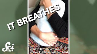 This pillow can breathe #shorts #science #SciShow