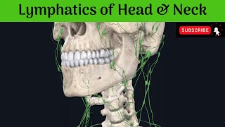 Lymphatics of Head and Neck | Deep Cervical | Outer Circle | Inner Circle | Area of Drainage |