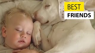 Cute Baby Playing With Dogs Compilation - Baby Pets  || Jukin