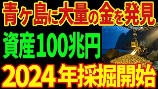 青ヶ島で大量の純金を発見！資産価値100兆円以上の保有量に世界が驚愕！2024年採取開始で日本大勝利！