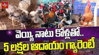 వెయ్యి నాటు కోళ్లతో..5 లక్షల ఆదాయం గ్యారెంటీ | Natu Kodi Farming Success Story | hmtv Agri