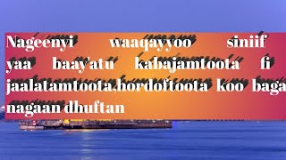 Nageenyi waaqayyoo siniif yaa baayyatu kabajamtoota fi jaalatamtoota hordoftoota koo baga nagaan dh