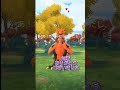 【ポケモンgo】vsガラルサンダー【ブルックgo】 shorts ポケモンgoガラル3鳥色違い ブルックgo 過去動画