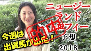 【競馬】厚めの馬連的中！ニュージーランドトロフィー 2018 予想 （実力ではなく枠重視！）ヨーコヨソー