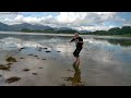 Castle Stalker...Once lands of the axe wielding MacDougalls.