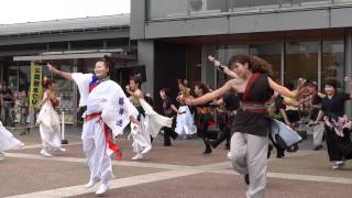 「よっちょれ」（参加全チーム）／道の駅庄和チャリティよさこい