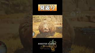 【MHWs】見返りチャウチャウ【モンハンワイルズ】