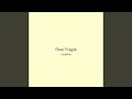 River Fragile