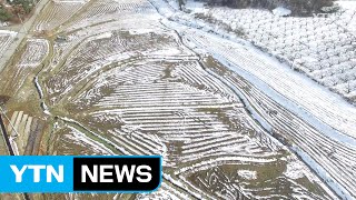 농민 노후 설계, 농지 연금이 최고! / YTN (Yes! Top News)