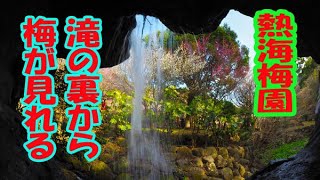 ６０秒の写真旅行【日本一の早咲き梅　熱海梅園】