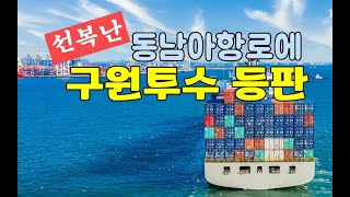 국적선사, 중소화주에 구원투수로 나선다. 동남아항로 전용선복 지원 / KSG NEWS (2024.09.03)