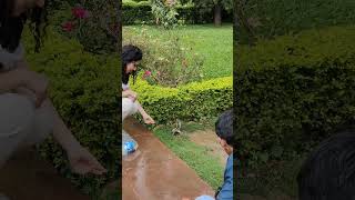 അണ്ണാൻ കുഞ്ഞിന് തീറ്റ കൊടുത്താലോ | shehalion ki bari #youtubevideo #viral #beautiful #squirrel #pets