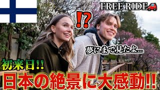 【FREE RIDE】Free Tour To Travelers First Time In Tokyo-Japan🇯🇵( their reactions )