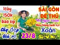 🍀23/8🍀☎️0393117991 gặp Ngọc👉giao lưu mai vàng chơi Tết,già mùa,giá rẻ,sbbl,Sài Gòn,hoa Hồng thang Tú