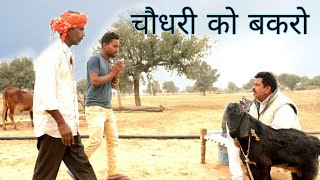 चौधरी को बकरो । DESI COMEDY MAGHARAM ODINT, RAJASTHANI COMEDY, FUNNY COMEDY 2021, CHODHARI KO BAKRO