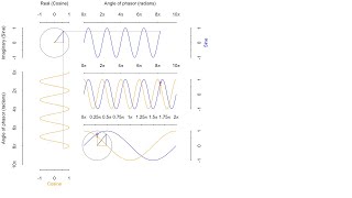 Rotating vector on the unit circle tracing sine and cosine