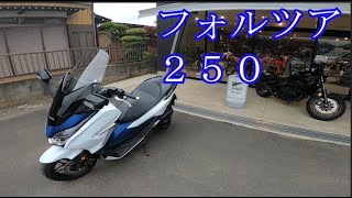 【HONDA】フォルツァ２５０試乗レビュー【現代のビクスクはいかに】