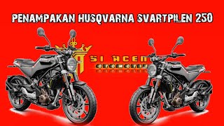 tampilan sangar husqvarna svartpilen 250