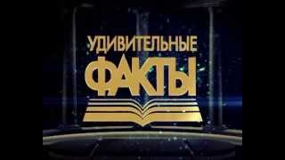 Удивительные факты. Узнай больше