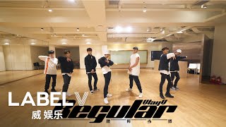 WayV 威神V '理所当然 (Regular)' Dance Practice
