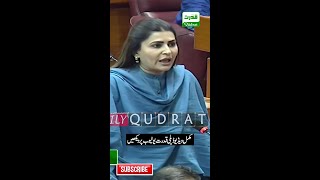 PPP Leader Shazia Marri fiery Speech in National Assembly | Hard Reply To PTI