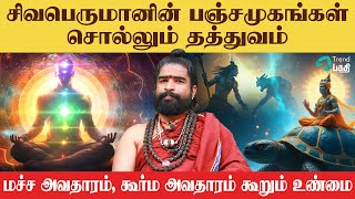 மனிதன் எப்படி இருக்க வேண்டும் | மச்ச அவதாரம்,கூர்ம அவதாரம் பற்றிய வாசி யோகி கூறும் ரகசியம்!!