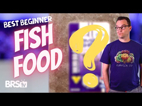 Can you feed Daphnia to marine fish?