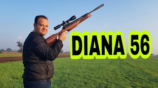 DIANA 56