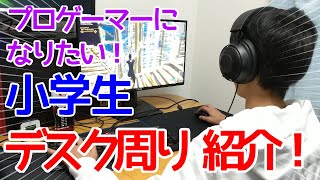 プロゲーマーを目指す小学生の部屋紹介【フォートナイト】