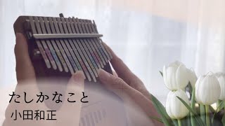 たしかなこと/小田和正【カリンバ】