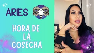 Aries, Hora de la cosecha cambios positivos vienen!