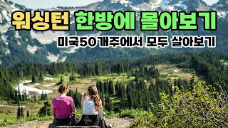 워싱턴주 한방에 몰아보기/미국 50개주 모두 살아보기/3주마다 이사하는 미국 유목민/워싱턴주의 추억