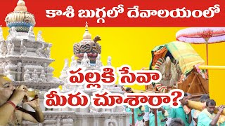 Kashi Bugga Temple, Pallki Seva, కాశీ బుగ్గ పల్లకి సేవ