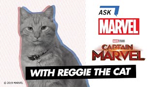 Goose the Cat of Marvel Studios' Captain Marvel | Ask Marvel