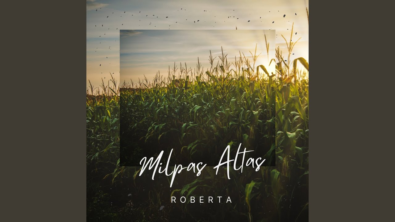 Roberta Youtube Music