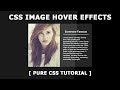 Css Image Hover Effects - Slide Image On Hover - Html Css Profile card UI Design with hover effects