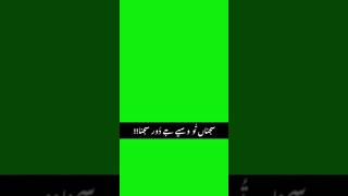 Sajna Too Wasea Ja Door Sajan_ Green Screen short #greenscreensarakisong