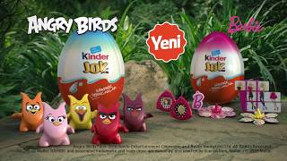 kinder joy angry birds