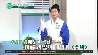 피부에 양보하세요~! 피부 열감 낮추는 ★한방 수박 쿨링팩★ | 행복한 아침 903 회