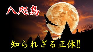 【歴史ミステリー】日本の謎!?「八咫烏」その正体は？秘密結社は本当か？