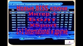 Biss Key Jawa Pos Tv Piala Indonesia 2019 Vlog 28 Music Jinni