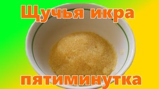 Как приготовить щучью икру  Пятиминутка